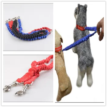 Dvojno pes leahses vodi /w Medpomnjenje učinek pes vlečna vrv za dva psa naj hišne blagovne znamke v novo B23