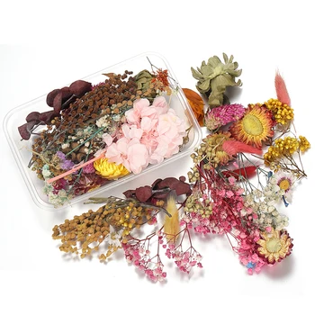 1Box Mešanica Slog Posušeno Cvetje za Dekoracijo Naključno Naravni Cvetlični Nalepke Beauty Nail Art Decals Epoksi Plesni Polnjenje Nakit DIY