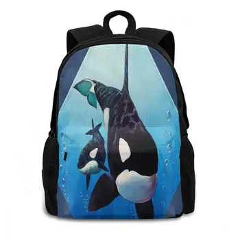 Orcas Nahrbtnik