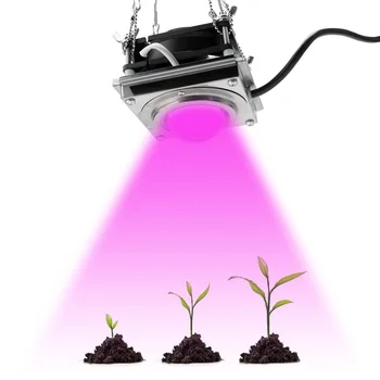 Celoten Spekter CXB3590 COB Rastejo Svetlobe 300W Visok Svetlobni Izkoristek Raste Lučka Rastline Phytolamp za Notranjo Rast Polje v Rastlinjakih