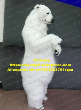 Beli Morski Medved Polarni Medved, ki je Maskota Kostum za Odrasle Risani Lik Obleko, Obleko Odprta Podjetja High Street Center zz4873