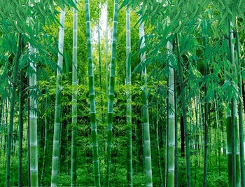 Lepa Fotografija Moda po Meri 3D Zavese zelena bambusov gozd Visoko kakovost po meri 3d tkanine, zavese