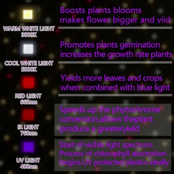EnFun led grow light Phytolamp za sobne rastline quantum celoten spekter cvet semena odbor za dom žarnice samsung
