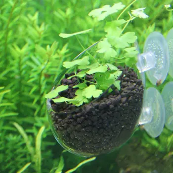 Akvarij Dekoracijo Fish Tank Mini Crystal Steklo Pot Polka Vodo Spraviti Vodnih Sajenje Valj Pokal Akvarij Hišnih Dodatki