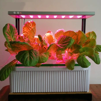 Floorboot ffs lučka celoten spekter led grow light 240V rastlin lučka s sponko za emisije toplogrednih hydroponic rastlinskih cvet fitolampy
