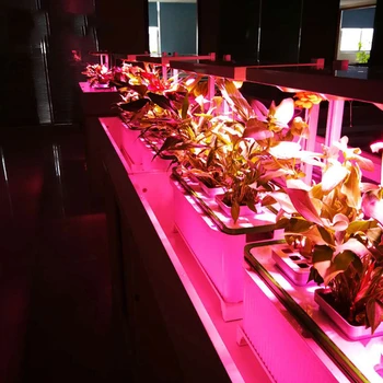 Floorboot ffs lučka celoten spekter led grow light 240V rastlin lučka s sponko za emisije toplogrednih hydroponic rastlinskih cvet fitolampy