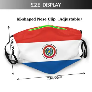 Zastavo Paragvaj Državi Simbol Simbol Naroda Večkratno uporabo Usta Masko Proti Meglica Hladno Dokaz Filter z Zimsko Zaščito