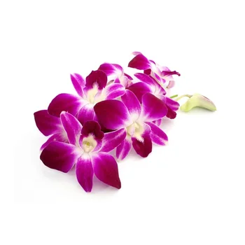 AKARZ Znane blagovne znamke Najboljše iz moke Orhideja Eterično Olje Aromaterapija obraza, telesa, za nego kože, kupite 2 dobim 1