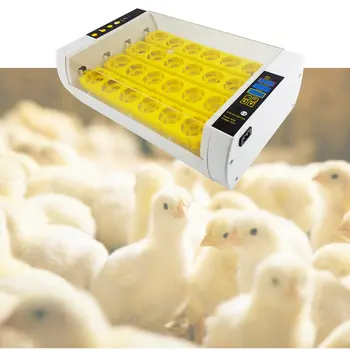 Doma Inkubator z LED Razsvetljavo 24 Jajce Avtomatski Inkubator Kokoš Raca Gos Ptica Hatcher zootehnika