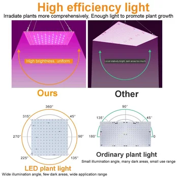 UK/EU/ZDA Plug LED Grow Light Celoten Spekter Nepremočljiva Phytolamp Led Ffs Lučka za Rast Rastlin svetila Za Notranji Obrat