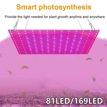 UK/EU/ZDA Plug LED Grow Light Celoten Spekter Nepremočljiva Phytolamp Led Ffs Lučka za Rast Rastlin svetila Za Notranji Obrat