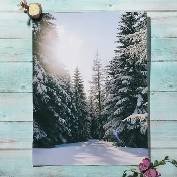 Pozimi Sneg Krajine Losa, Borov Gozd Rastlin Hiša Nordijska Plakat Wall Art Natisne Platno Slikarstvo Dekor Slike Za Dnevno Sobo