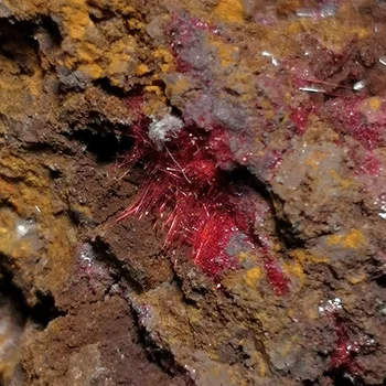 46 g Naravnih Chalcotrichite Mineralnih Vzorcu Doma Dekoracijo Iz Qinglong Provinci Guizhou Kitajska A4-2