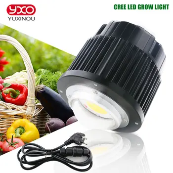 CREE CXB3590 100W COB DRŽAVLJAN LED Grow Light Celoten Spekter 12000LM = HPS 200W Raste Lučka za Hydroponics Rast rastlin, luči