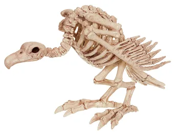 Fantasy Kosti Okostja Živali Plastične Živali Okostje Kosti za Grozo Halloween Dekoracijo