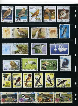 Novo 50Pcs/Veliko Ptica Papiga Orel Vse Razlikuje Od Mnogih Državah NE Ponovite Nerabljene Poštne Znamke za Zbiranje