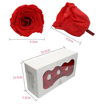 8pcs/Box 4-5 cm DIY Naravno Ohranjenih Cvetje Nesmrtni Dvignila Glavo Posušene Rose Poročna Valentine Rojstni dan, materinski Dan, Darila za Njo