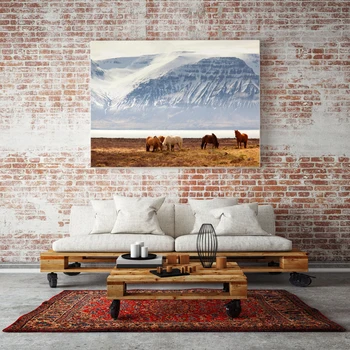 Islandski Konj Plakatov in Fotografij Platno Stensko Slikarstvo v slikah, slike, Živali Slike za dekoracije, dnevna soba Dekor