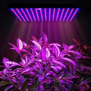 Raste Svetilke 1000W Celoten Spekter LED Grow Light Rastlin Razsvetljavo Fitolampy Za Rastline Cvetja, Sadik Gojenje